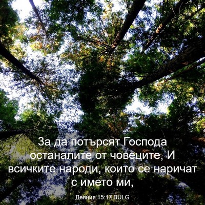 Picture 03 - Деяния 15:17 BULG - 3а да потърсят Господа - Bible Verse Picture