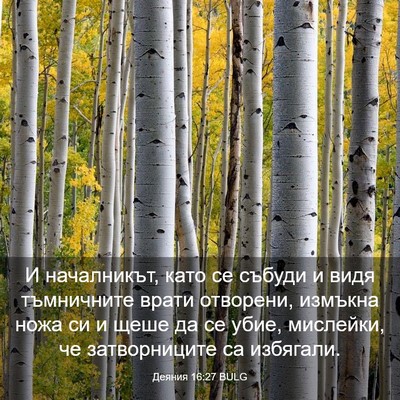 Picture 03 - Деяния 16:27 BULG - И началникът, като се - Bible Verse Picture