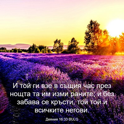 Picture 03 - Деяния 16:33 BULG - И той ги взе в същия час - Bible Verse Picture