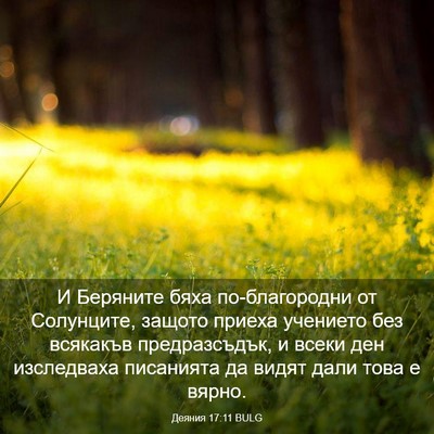 Picture 03 - Деяния 17:11 BULG - И Беряните бяха - Bible Verse Picture