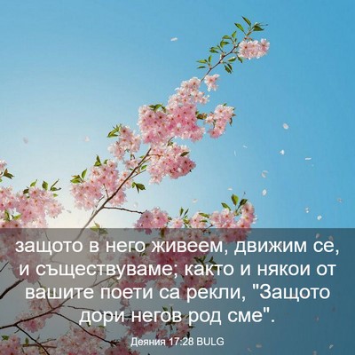 Picture 03 - Деяния 17:28 BULG - защото в него живеем, - Bible Verse Picture