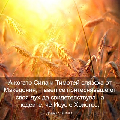 Picture 03 - Деяния 18:5 BULG - А когато Сила и Тимотей - Bible Verse Picture