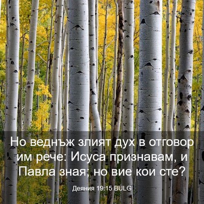 Picture 03 - Деяния 19:15 BULG - Но веднъж злият дух в - Bible Verse Picture