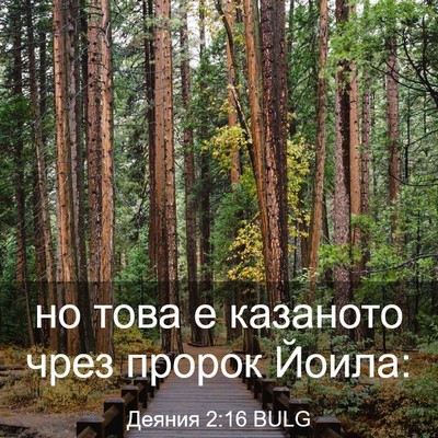 Picture 03 - Деяния 2:16 BULG - но това е казаното чрез - Bible Verse Picture