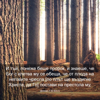 Picture 03 - Деяния 2:30 BULG - И тъй, понеже беше пророк, и - Bible Verse Picture