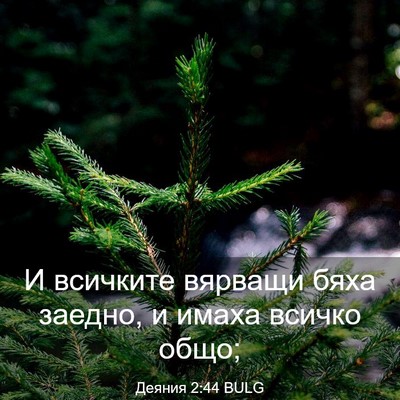 Picture 03 - Деяния 2:44 BULG - И всичките вярващи бяха - Bible Verse Picture