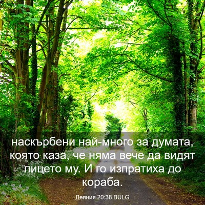 Picture 03 - Деяния 20:38 BULG - наскърбени най-много за - Bible Verse Picture