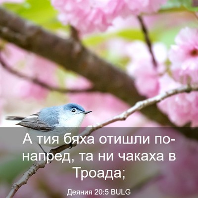 Picture 03 - Деяния 20:5 BULG - А тия бяха отишли - Bible Verse Picture