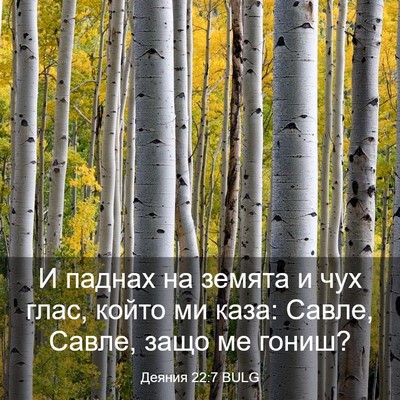 Picture 03 - Деяния 22:7 BULG - И паднах на земята и чух - Bible Verse Picture