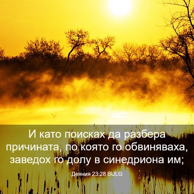 Picture 03 - Деяния 23:28 BULG - И като поисках да разбера - Bible Verse Picture