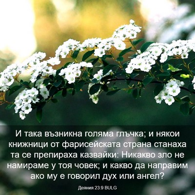 Picture 03 - Деяния 23:9 BULG - И така възникна голяма - Bible Verse Picture