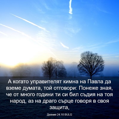 Picture 03 - Деяния 24:10 BULG - А когато управителят кимна - Bible Verse Picture