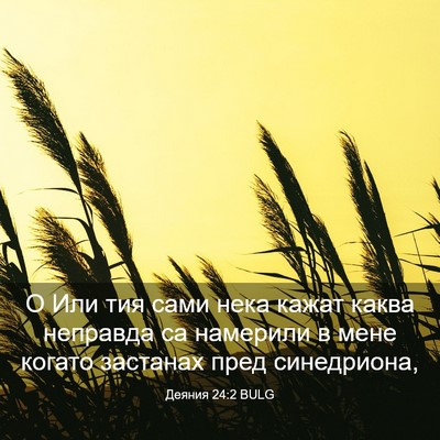 Picture 03 - Деяния 24:2 BULG - О Или тия сами нека кажат - Bible Verse Picture
