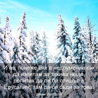 Picture 03 - Деяния 25:20 BULG - И аз, понеже бях в - Bible Verse Picture