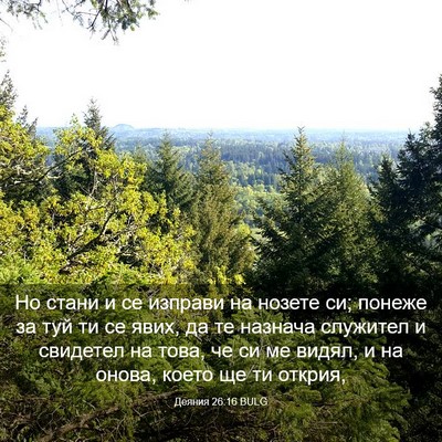 Picture 03 - Деяния 26:16 BULG - Но стани и се изправи на - Bible Verse Picture