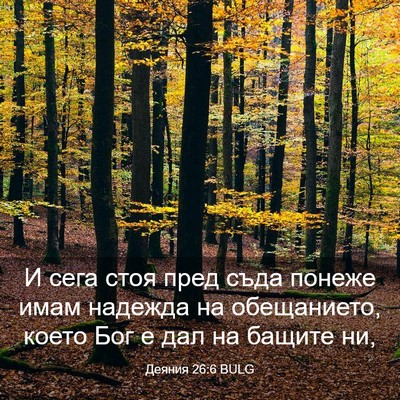 Picture 03 - Деяния 26:6 BULG - И сега стоя пред съда - Bible Verse Picture
