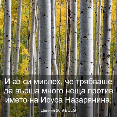 Picture 03 - Деяния 26:9 BULG - И аз си мислех, че трябваше - Bible Verse Picture