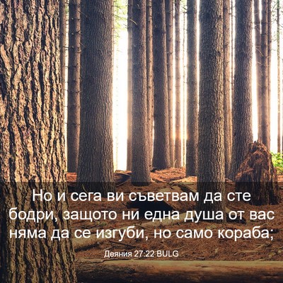 Picture 03 - Деяния 27:22 BULG - Но и сега ви съветвам да - Bible Verse Picture
