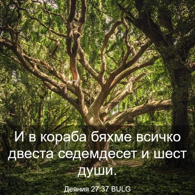 Picture 03 - Деяния 27:37 BULG - И в кораба бяхме всичко - Bible Verse Picture