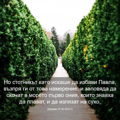 Picture 03 - Деяния 27:43 BULG - Но стотникът като искаше - Bible Verse Picture
