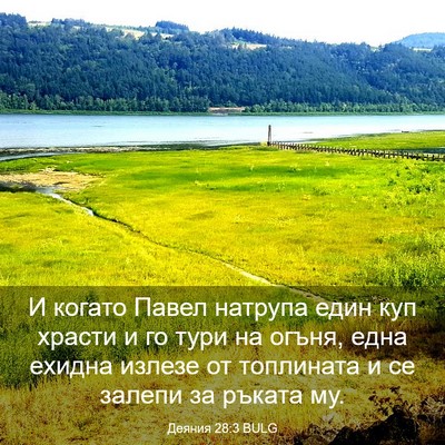 Picture 03 - Деяния 28:3 BULG - И когато Павел натрупа - Bible Verse Picture