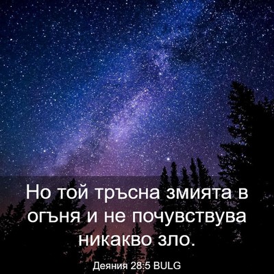 Picture 03 - Деяния 28:5 BULG - Но той тръсна змията в - Bible Verse Picture
