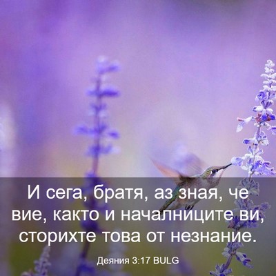 Picture 03 - Деяния 3:17 BULG - И сега, братя, аз зная, че - Bible Verse Picture
