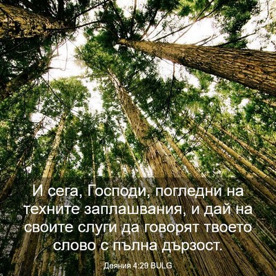 Picture 03 - Деяния 4:29 BULG - И сега, Господи, погледни - Bible Verse Picture