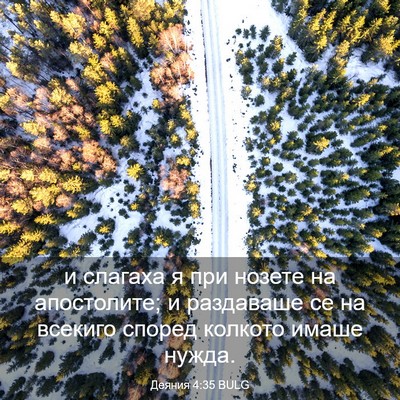 Picture 03 - Деяния 4:35 BULG - и слагаха я при нозете на - Bible Verse Picture