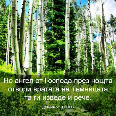 Picture 03 - Деяния 5:19 BULG - Но ангел от Господа през - Bible Verse Picture