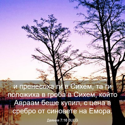 Picture 03 - Деяния 7:16 BULG - и пренесоха ги в Сихем, та - Bible Verse Picture