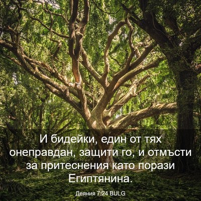 Picture 03 - Деяния 7:24 BULG - И бидейки, един от тях - Bible Verse Picture