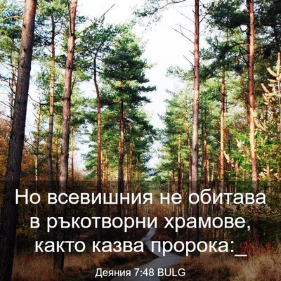 Picture 03 - Деяния 7:48 BULG - Но всевишния не обитава в - Bible Verse Picture
