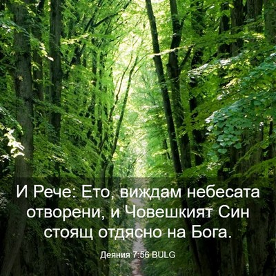 Picture 03 - Деяния 7:56 BULG - И Рече: Ето, виждам - Bible Verse Picture