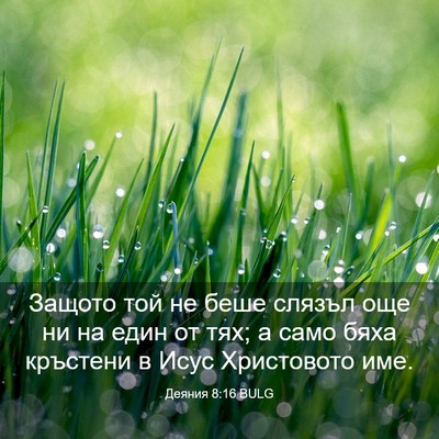 Picture 03 - Деяния 8:16 BULG - Защото той не беше слязъл - Bible Verse Picture