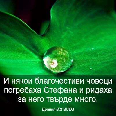 Picture 03 - Деяния 8:2 BULG - И някои благочестиви - Bible Verse Picture
