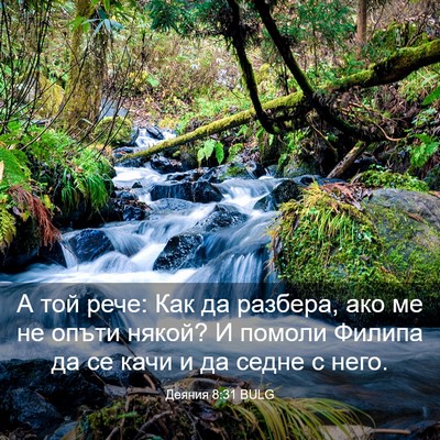 Picture 03 - Деяния 8:31 BULG - А той рече: Как да разбера, - Bible Verse Picture