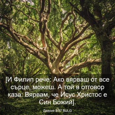 Picture 03 - Деяния 8:37 BULG - [И Филип рече: Ако вярваш от - Bible Verse Picture
