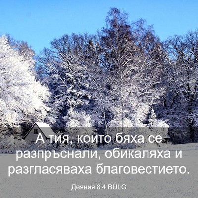 Picture 03 - Деяния 8:4 BULG - А тия, които бяха се - Bible Verse Picture