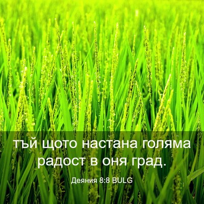 Picture 03 - Деяния 8:8 BULG - тъй щото настана голяма - Bible Verse Picture