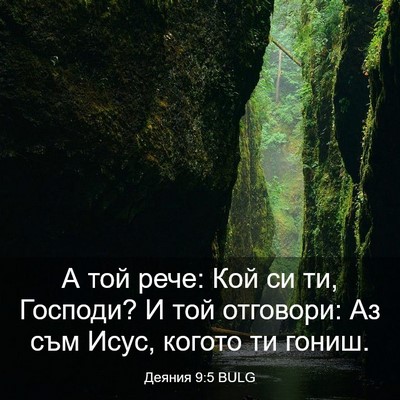 Picture 03 - Деяния 9:5 BULG - А той рече: Кой си ти, - Bible Verse Picture