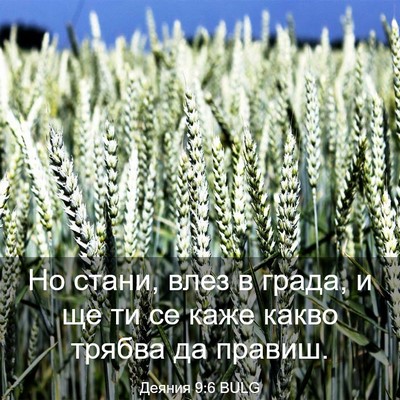 Picture 03 - Деяния 9:6 BULG - Но стани, влез в града, и ще - Bible Verse Picture
