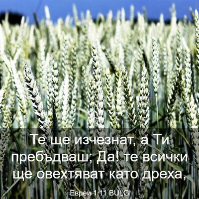 Picture 03 - Евреи 1:11 BULG - Те ще изчезнат, а Ти - Bible Verse Picture