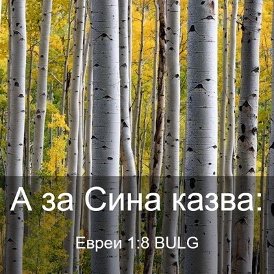Picture 03 - Евреи 1:8 BULG - А за Сина - Bible Verse Picture