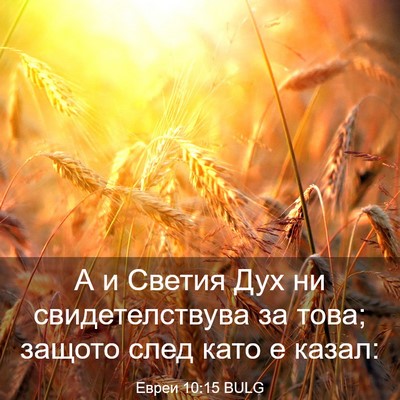 Picture 03 - Евреи 10:15 BULG - А и Светия Дух ни - Bible Verse Picture