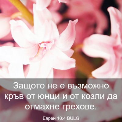 Picture 03 - Евреи 10:4 BULG - Защото не е възможно кръв - Bible Verse Picture