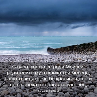 Picture 03 - Евреи 11:23 BULG - С вяра, когато се роди - Bible Verse Picture