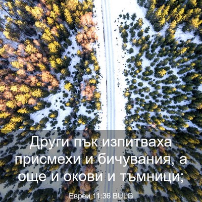 Picture 03 - Евреи 11:36 BULG - Други пък изпитваха - Bible Verse Picture