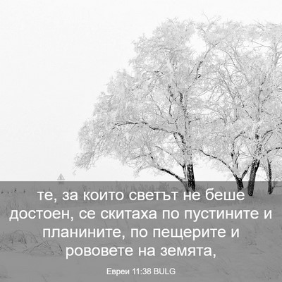 Picture 03 - Евреи 11:38 BULG - те, за които светът не беше - Bible Verse Picture