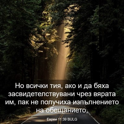 Picture 03 - Евреи 11:39 BULG - Но всички тия, ако и да бяха - Bible Verse Picture